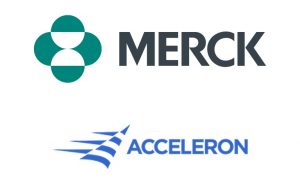 Merck поглощает Acceleron, празднуя успех таблетки от «короны»