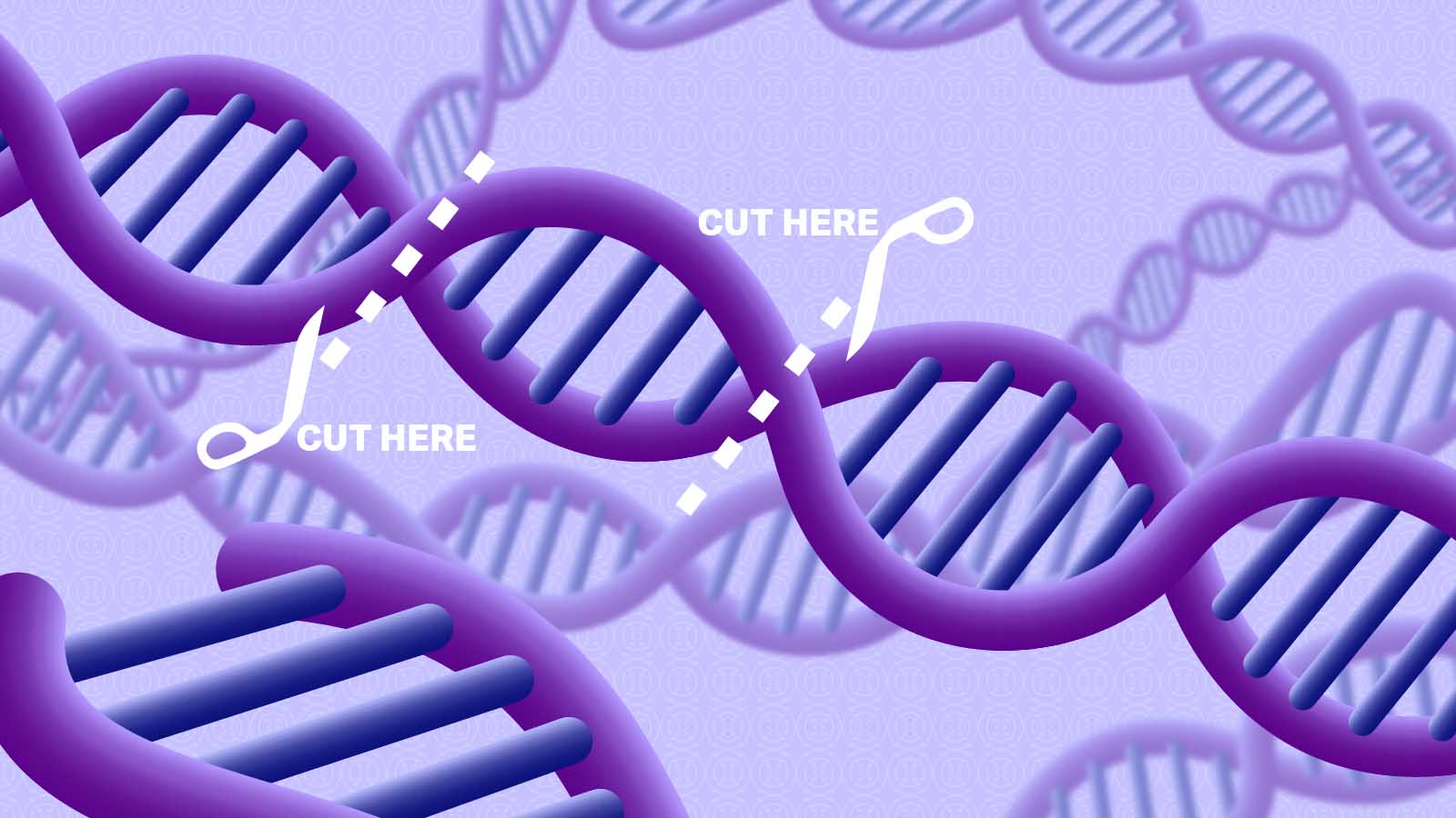 Изменение генов. Технология редактирования генов CRISPR/cas9. Генетика CRISPR. ДНК CRISPR. Технологии CRISPR/cas9 лаборатория.