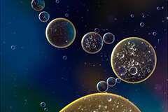 Ученые раскрыли процесс возникновения клеточных карманов для захвата питательных веществ