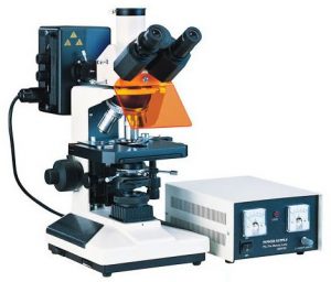 Флуоресцентный микроскоп