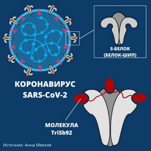 Ученые Хельсинкского университета разработали препарат TriSb92 против коронавируса