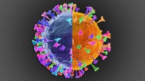 Генетические рекомбинации коронавирусов