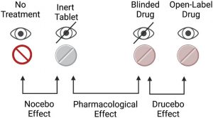 Друцебо относится к разнице в побочных эффектах, возникающих, когда принимается истинный препарат, содержащий активный ингредиент  либо инертный препарат.