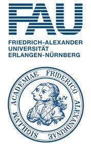 Университет Фридриха Александра в Эрлангене-Нюрнберге