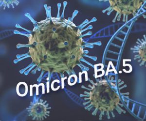 Гибридный иммунитет к COVID-19 может обеспечить наилучшую защиту от Omicron BA.5