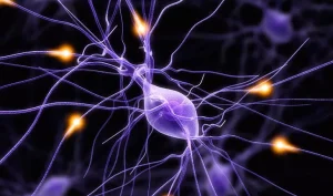 Нейроны при болезни Паркинсона