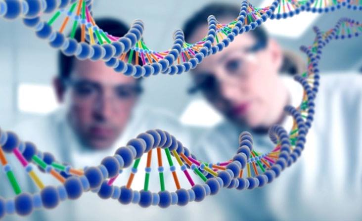 Ученые выяснили, как гены и «малые молекулы» влияют на наш личный риск .