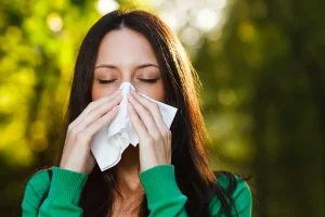 Новая вакцина ФМБА от аллергии на пыльцу березы  демонстрирует успехи в доклинических испытаниях