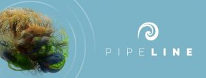 Pipeline Therapeutics заключила глобальное соглашение с Janssen по исследовательской нейробиологической терапии PIPE-307
