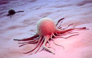 Новая теория эволюционной трансформации опухолей позволит «подружиться» с раком