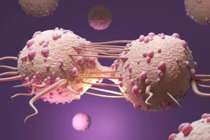 Найден белок, отвечающий за распространение раковых клеток