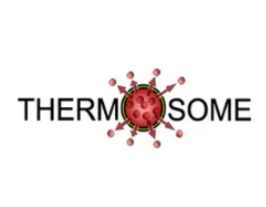 Препарат компании Thermosome получил от FDA и EMA статус орфанного для лечения саркомы мягких тка