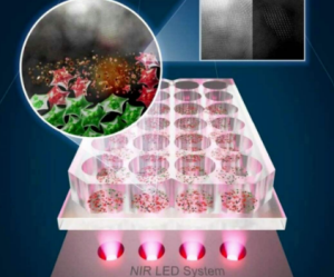 Новый метод лечения рака за полчаса уничтожил 92% клеток рака кожи и 50% клеток колоректального рака