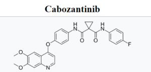 Российские химики создали комбинированную молекулу для борьбы с гипоксичными опухолями