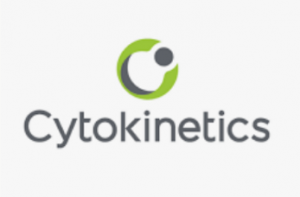 Cytokinetics получила одобрение FDA на препарат для лечения обструктивной гипертрофической кардиомиопатии