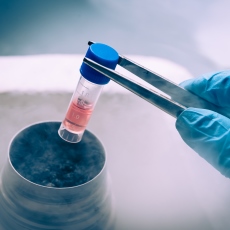 Учёные зафиксировали седьмой в мире посттрансплантационный случай исчезновения ВИЧ