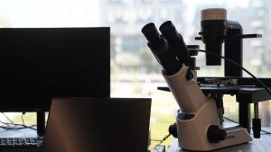 Наночастицы в два раза ускорили заживление глубоких ран