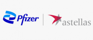 Pfizer и Astellas получили статус Priority Review для комбинированной терапии Padcev при мышечно-инвазивном раке мочевого пузыря